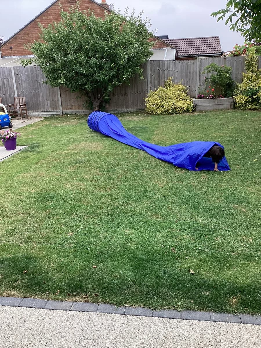 A long blue play tunnel stretched across the garden lawn